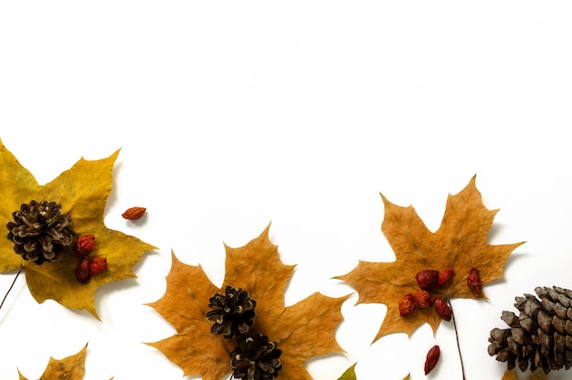 Autumn flat lay of maple leaves, cones and rosehip berries