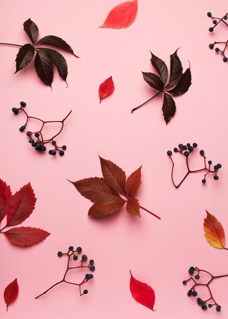 ピンクの背景に創造的な色の葉と植物パターンと秋のフラットレイ