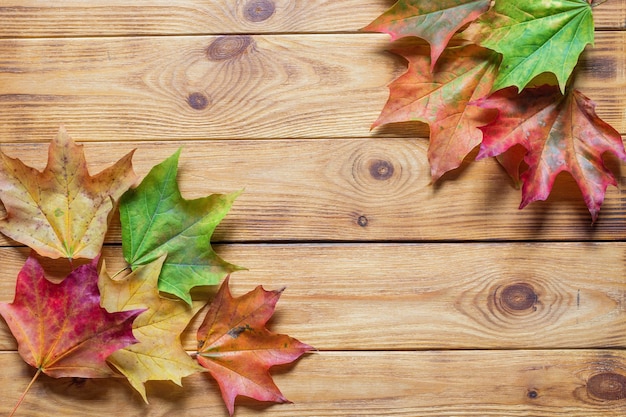 Autumn flat lay with colorful fallen leaves on wooden background.