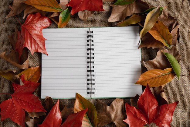 Photo autumn flat lay with notepad