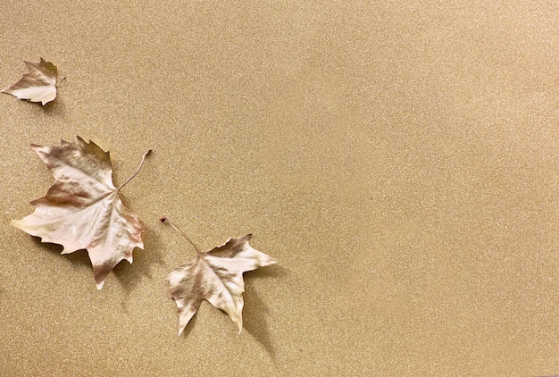 Photo autumn flat lay with painted golden leaves and copy-space on sparkling golden paper