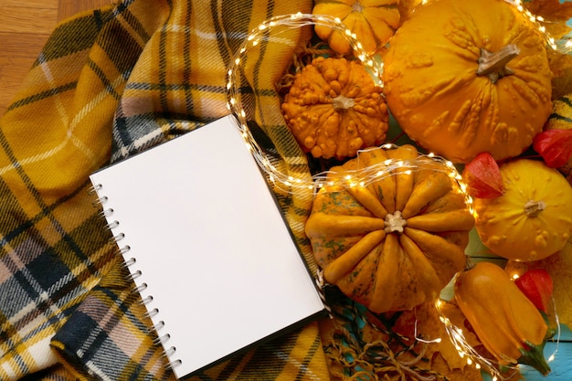  Autumn flat lay