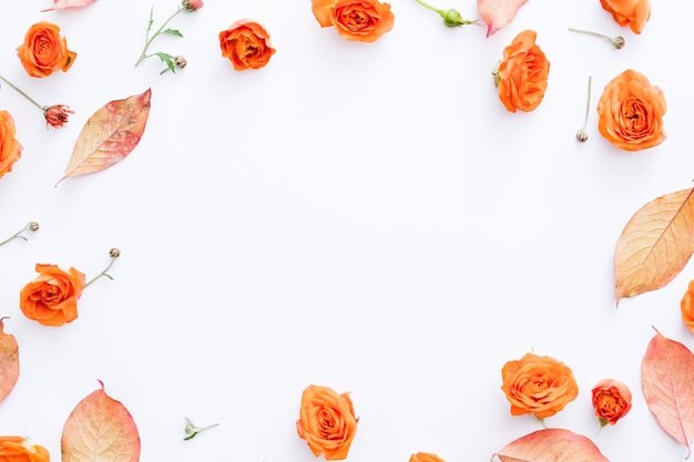 Autumn floral design greeting card Red leaves and orange rose buds arranged in round frame on white