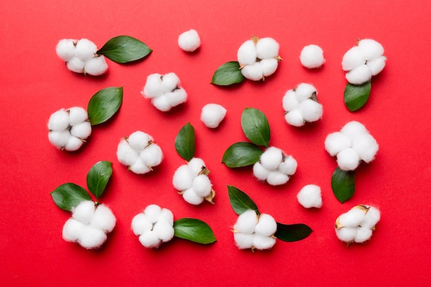 Autumn Floral Flat lay achtergrondsamenstelling Gedroogde witte pluizige katoenen bloemtak met groen blad bovenaanzicht op gekleurde tafel met kopieerruimte