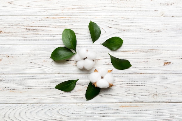 Autumn Floral Flat lay achtergrondsamenstelling Gedroogde witte pluizige katoenen bloemtak met groen blad bovenaanzicht op gekleurde tafel met kopieerruimte