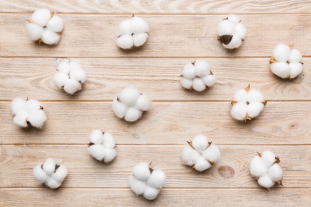 Autumn Floral Flat lay background composition. Dried white fluffy cotton flower branchwith green leaf top view on colored table with copy space