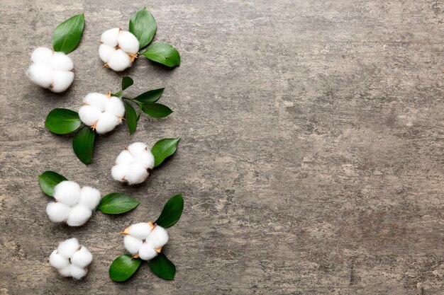 Autumn Floral Flat lay background composition Dried white fluffy cotton flower branchwith green leaf top view on colored table with copy space