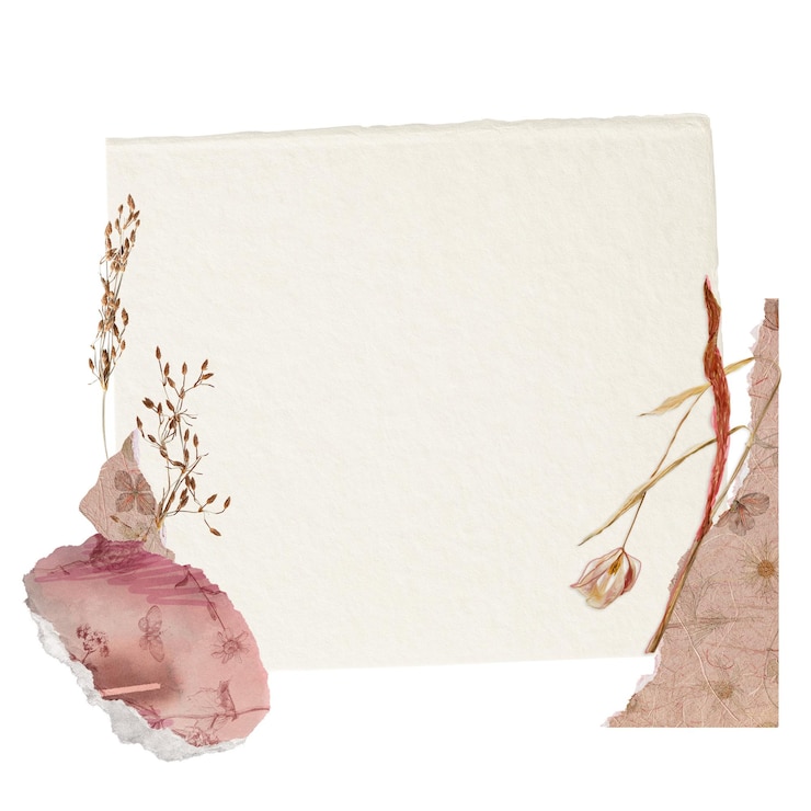 Photo autumn flower png journal sticker aesthetic paper collage on transparent background