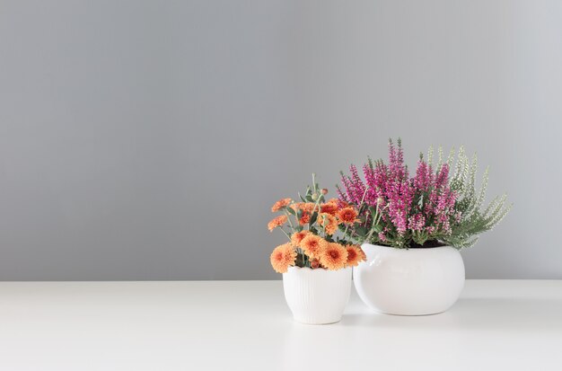 Autumn flowers  on white table