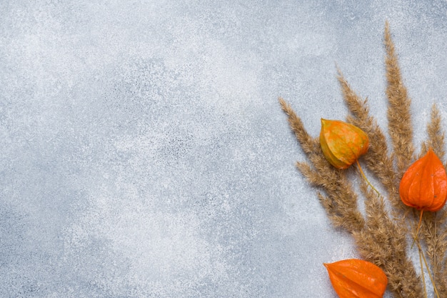 Autumn flowers 