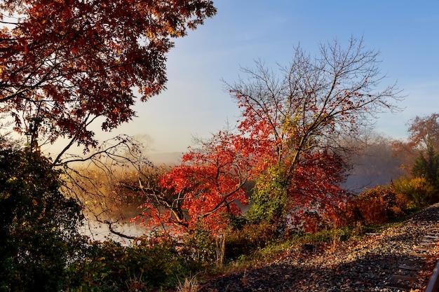 Autumn foggy morning Dawn on the misty tranquil river