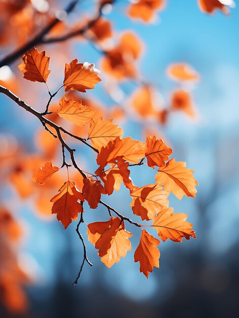 Autumn foliage against a clear blue sky warm orange and boke hyper realistic illustration photo art