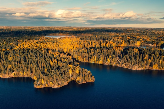 Photo autumn foliage colored trees lake views and coast in heinola finland