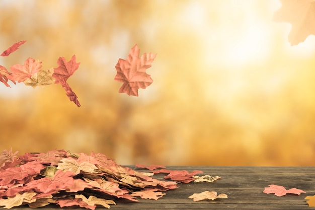 Foto il fogliame di autunno che vola sotto lascia il mazzo