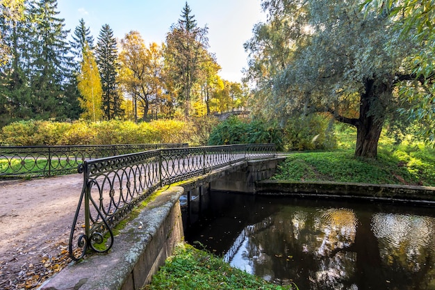 パブロフ スキー公園パブロフスク サンクトペテルブルク ロシアの紅葉