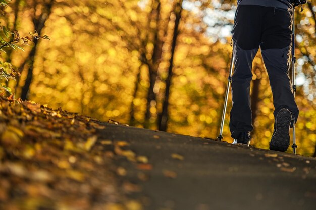 Autumn Foliage Trail Walk