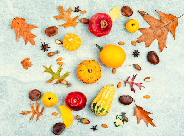 Autumn food autumn still life