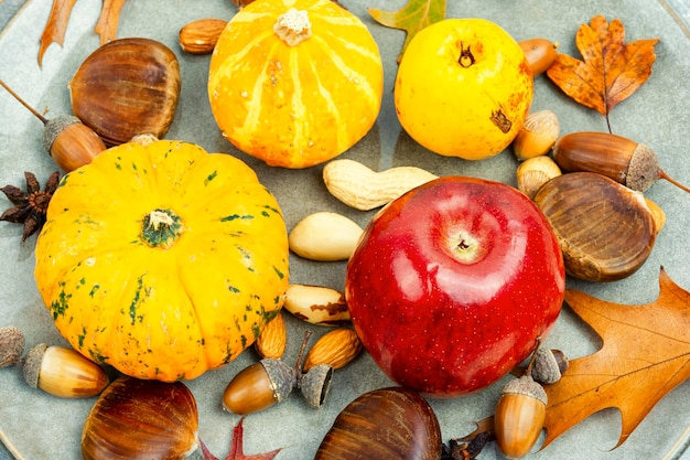 Autumn food pumpkins and nuts