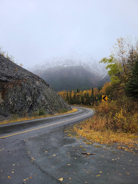 Autumn Forest Autumn Road