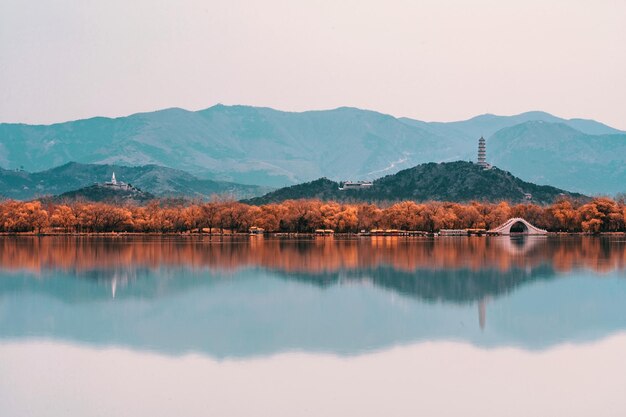 가을 숲 가을 길