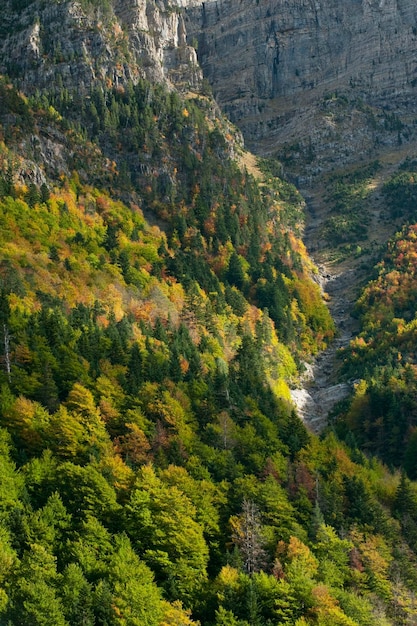 ブジャルエロ渓谷、オルデサモンテペルディド国立公園、ウエスカ、アラゴン、スペインの秋の森
