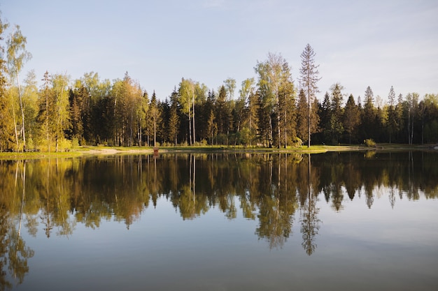 autumn forest by the lake in the early morning