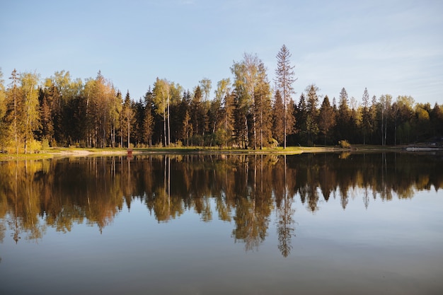 autumn forest by the lake in the early morning