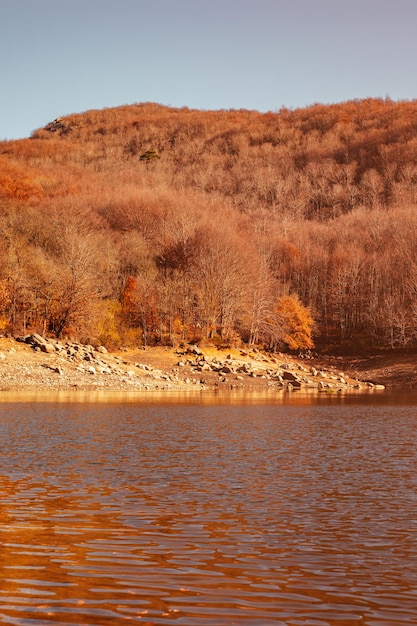 Autumn forest by the lake at sunset