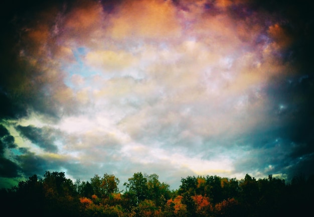 Осенний лес и облака: винтажная открытка