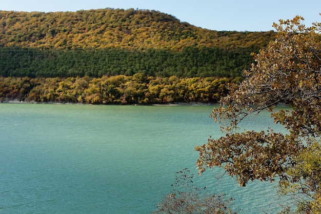 秋の森 山を望む湖の色鮮やかな秋の朝