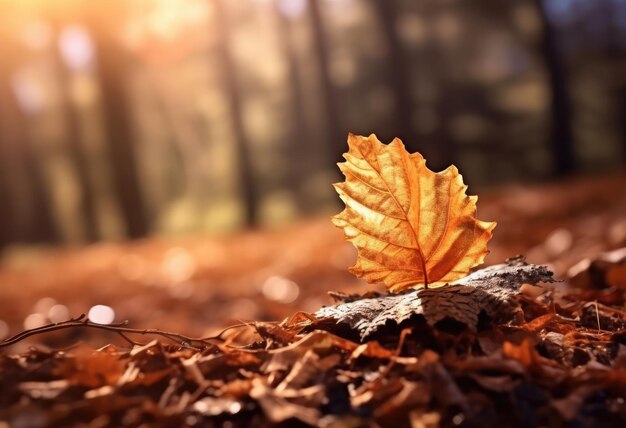 Фото Осенний лес осенний пейзаж цвета осени генеративный ии