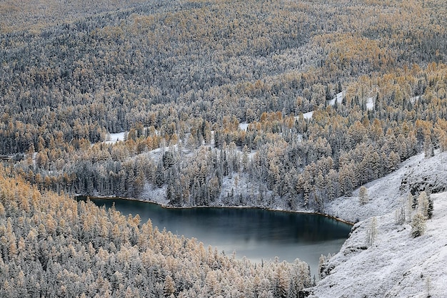 秋の森の霜雪アルタイ風景美しい自然