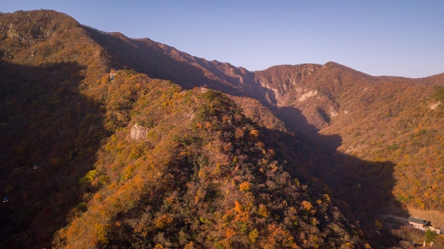 韓国の秋の森