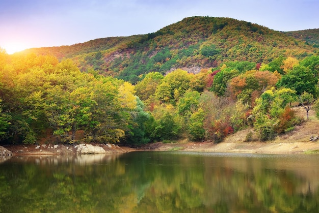 Осенний лес и озеро в горах Состав природы