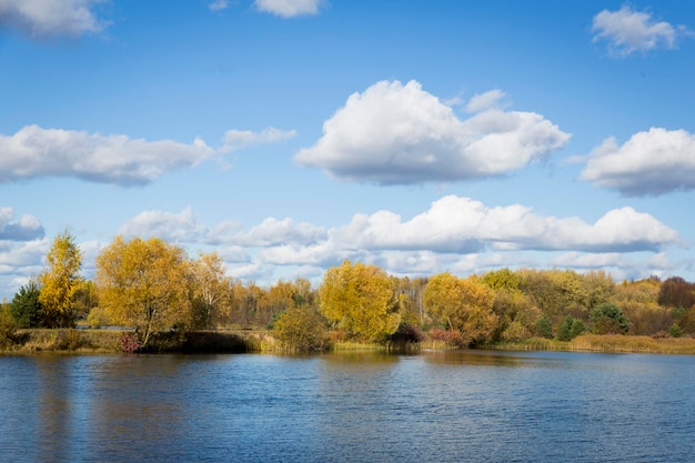 Autumn forest behind the lake. Sky with sun and white clouds. Red-green forest. High quality photo