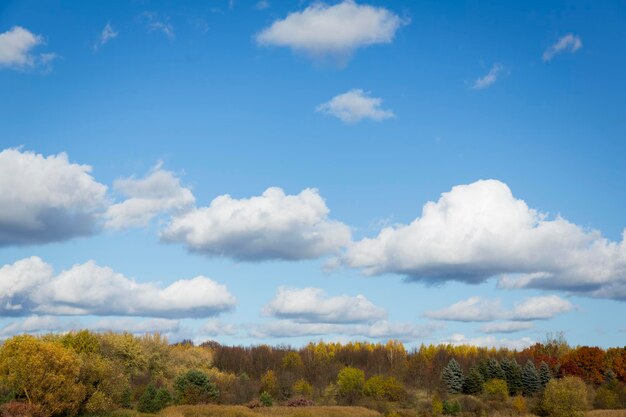 Осенний лес за озером. Небо с солнцем и белыми облаками. Красно-зеленый лес. Фото высокого качества