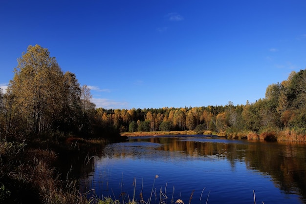 Autumn forest lake sky