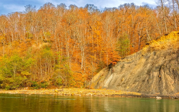 山の川のほとりの秋の森の風景