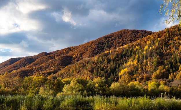 Осенний лесной пейзаж между горами