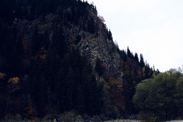 Autumn forest mountains trees landscape fresh air