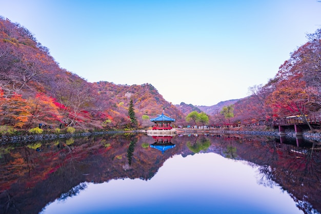 内山国立公園の秋の森、韓国