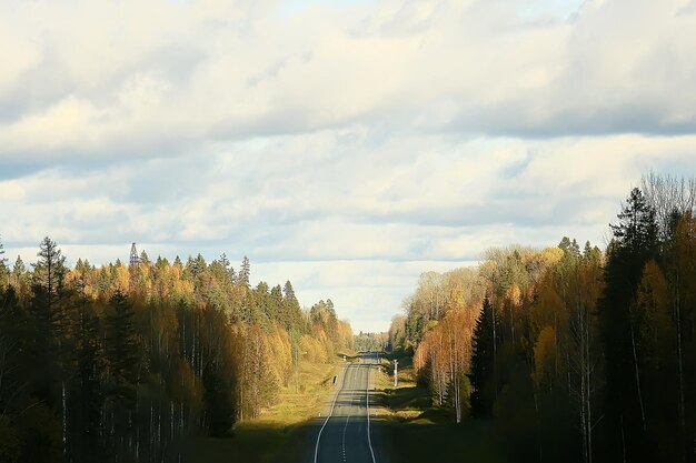 autumn forest north / landscape in the autumn forest, northern, nature view in the fall season