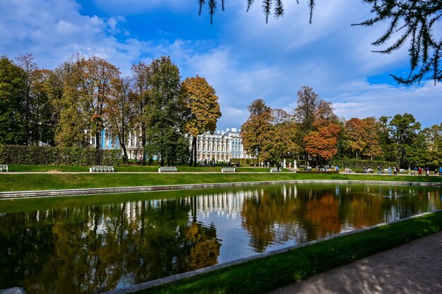 Bosco autunnale e riflesso nel lago. scena drammatica insolita. foglie autunnali rosse e gialle. il mondo della bellezza.