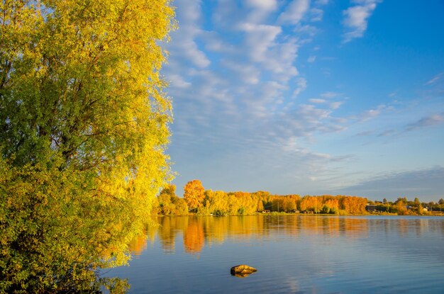 Autumn forest on the shores of the lake.