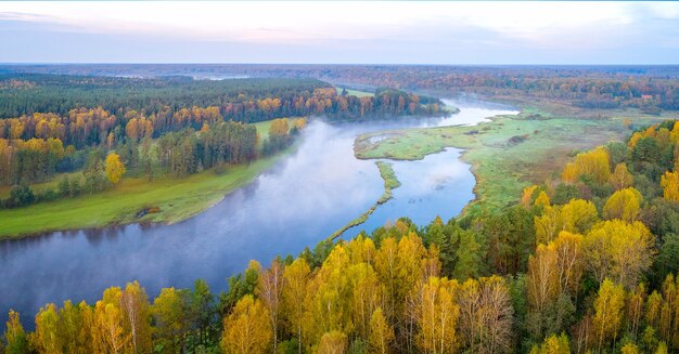 Autumn forest and sunrise are with  fog, photo shoot by drone.