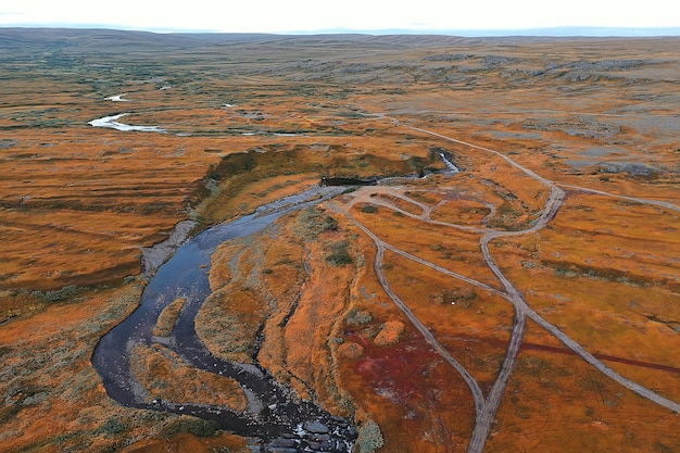 autumn forest taiga view from drone, yellow trees landscape nature fall