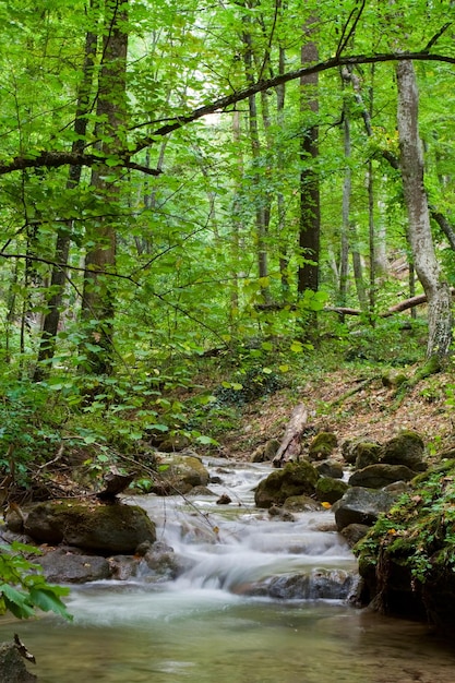 Autumn forest waterfall