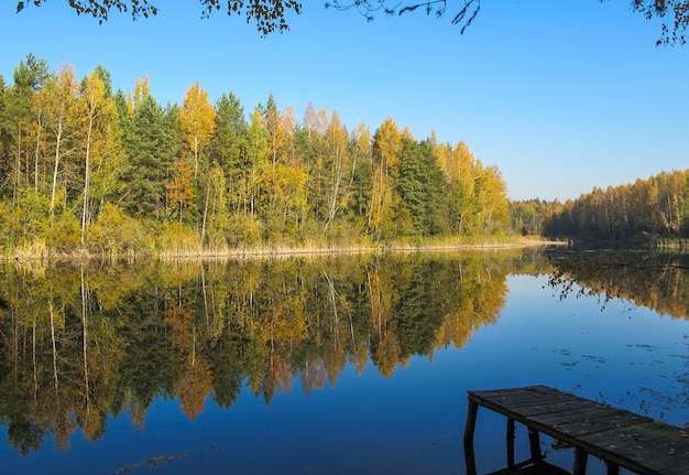 Autumn forest with a beautiful lake Bright colorful trees reflected in calm water with fallen leaves