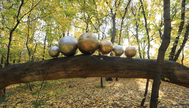 autumn forest with fallen leaves,decorative golden balls