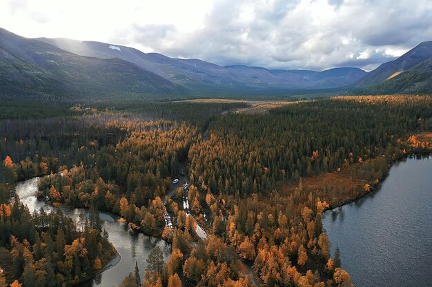Осенний лес без листьев вид сверху с дроном, природа фоновый пейзаж